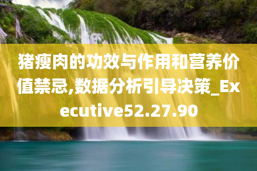 猪瘦肉的功效与作用和营养价值禁忌,数据分析引导决策_Executive52.27.90