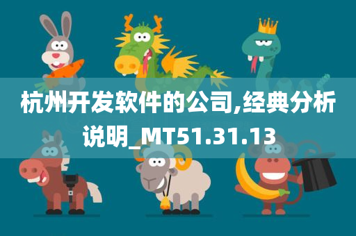 杭州开发软件的公司,经典分析说明_MT51.31.13