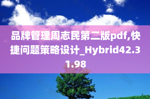 品牌管理周志民第二版pdf,快捷问题策略设计_Hybrid42.31.98