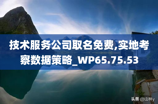 技术服务公司取名免费,实地考察数据策略_WP65.75.53