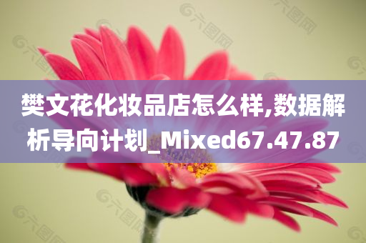 樊文花化妆品店怎么样,数据解析导向计划_Mixed67.47.87