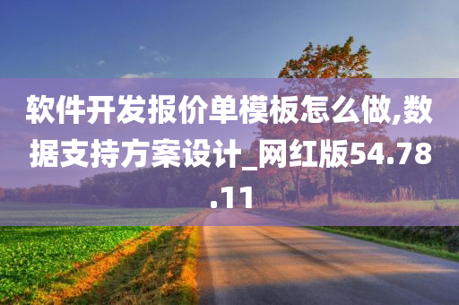 软件开发报价单模板怎么做,数据支持方案设计_网红版54.78.11