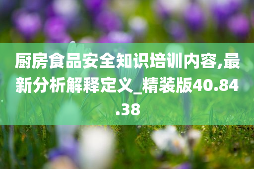 厨房食品安全知识培训内容,最新分析解释定义_精装版40.84.38