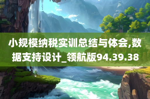 小规模纳税实训总结与体会,数据支持设计_领航版94.39.38