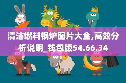 清洁燃料锅炉图片大全,高效分析说明_钱包版54.66.34