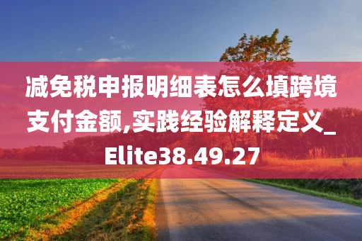 减免税申报明细表怎么填跨境支付金额,实践经验解释定义_Elite38.49.27