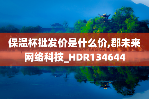 保温杯批发价是什么价,郡未来网络科技_HDR134644