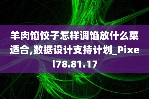 羊肉馅饺子怎样调馅放什么菜适合,数据设计支持计划_Pixel78.81.17