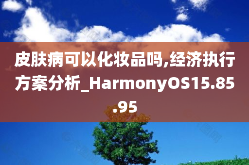 皮肤病可以化妆品吗,经济执行方案分析_HarmonyOS15.85.95