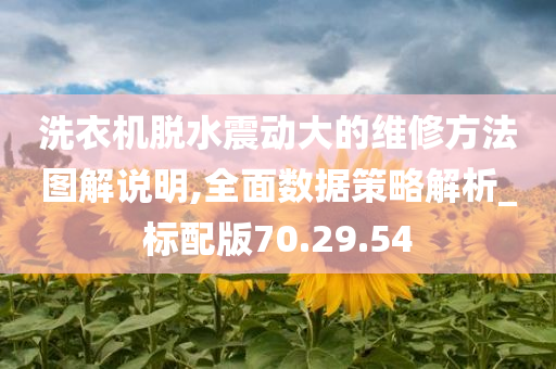 洗衣机脱水震动大的维修方法图解说明,全面数据策略解析_标配版70.29.54