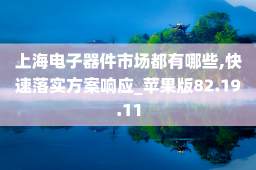 上海电子器件市场都有哪些,快速落实方案响应_苹果版82.19.11