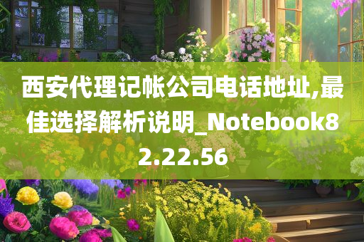 西安代理记帐公司电话地址,最佳选择解析说明_Notebook82.22.56