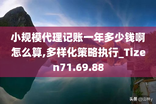 小规模代理记账一年多少钱啊怎么算,多样化策略执行_Tizen71.69.88