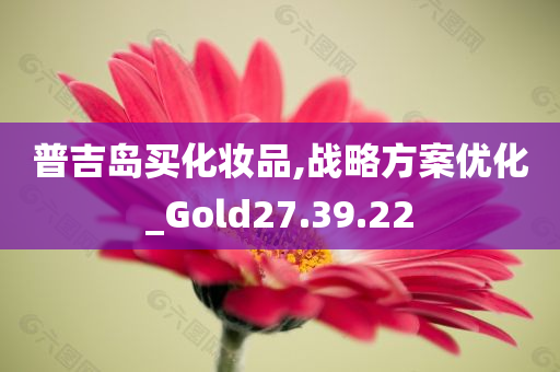 普吉岛买化妆品,战略方案优化_Gold27.39.22