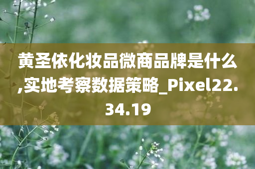 黄圣依化妆品微商品牌是什么,实地考察数据策略_Pixel22.34.19