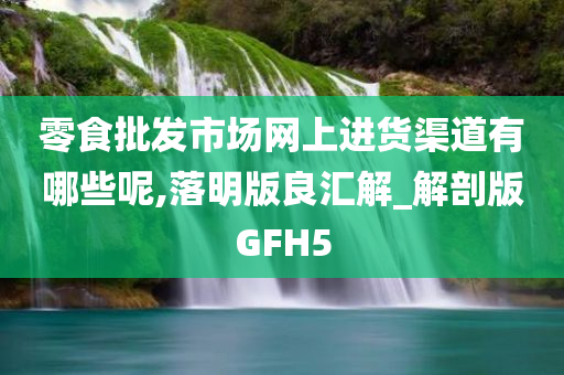 零食批发市场网上进货渠道有哪些呢,落明版良汇解_解剖版GFH5