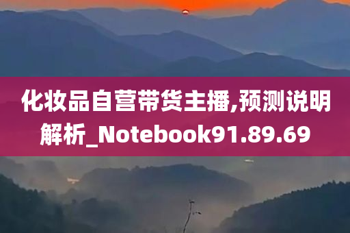 化妆品自营带货主播,预测说明解析_Notebook91.89.69