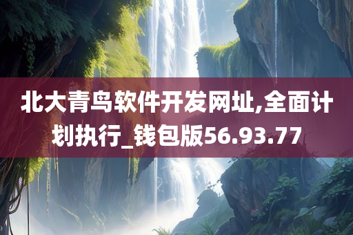 北大青鸟软件开发网址,全面计划执行_钱包版56.93.77