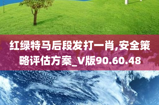 红绿特马后段发打一肖,安全策略评估方案_V版90.60.48