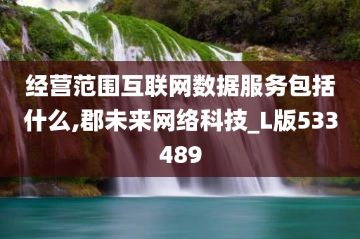 经营范围互联网数据服务包括什么,郡未来网络科技_L版533489