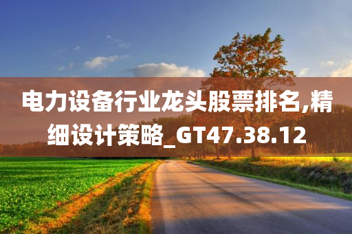 电力设备行业龙头股票排名,精细设计策略_GT47.38.12