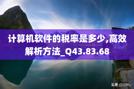 计算机软件的税率是多少,高效解析方法_Q43.83.68