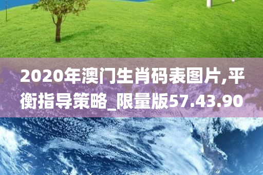 2020年澳门生肖码表图片,平衡指导策略_限量版57.43.90