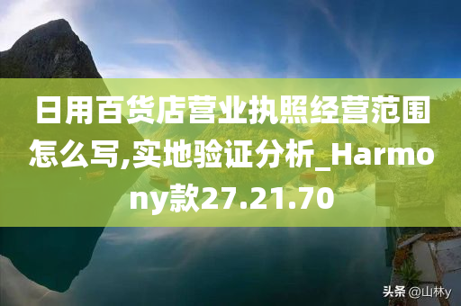 日用百货店营业执照经营范围怎么写,实地验证分析_Harmony款27.21.70