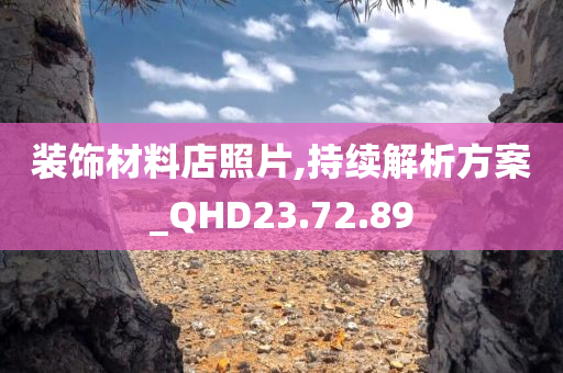 装饰材料店照片,持续解析方案_QHD23.72.89