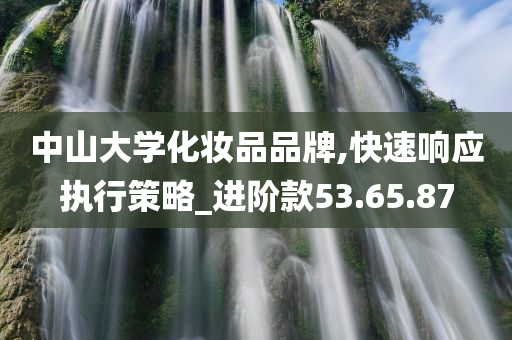 中山大学化妆品品牌,快速响应执行策略_进阶款53.65.87