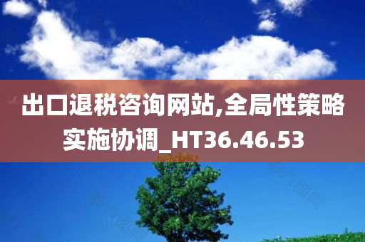 出口退税咨询网站,全局性策略实施协调_HT36.46.53