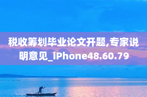 税收筹划毕业论文开题,专家说明意见_iPhone48.60.79