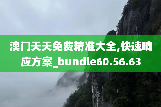 澳门天天免费精准大全,快速响应方案_bundle60.56.63