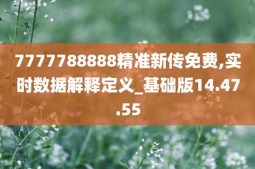 7777788888精准新传免费,实时数据解释定义_基础版14.47.55