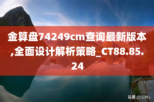 金算盘74249cm查询最新版本,全面设计解析策略_CT88.85.24