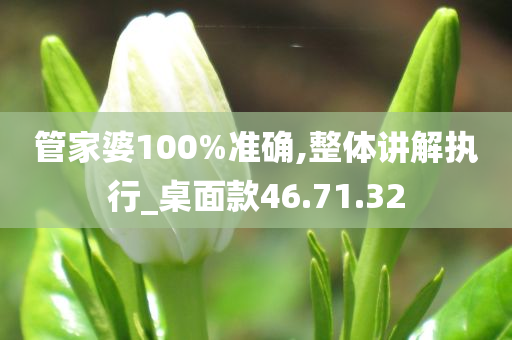 管家婆100%准确,整体讲解执行_桌面款46.71.32