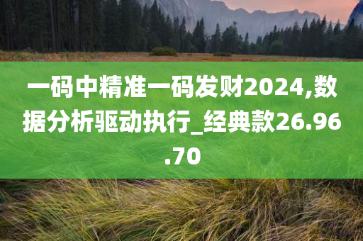 一码中精准一码发财2024,数据分析驱动执行_经典款26.96.70