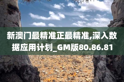 新澳门最精准正最精准,深入数据应用计划_GM版80.86.81