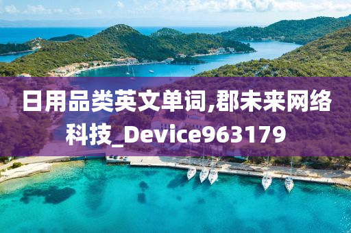 日用品类英文单词,郡未来网络科技_Device963179