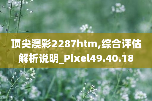 顶尖澳彩2287htm,综合评估解析说明_Pixel49.40.18