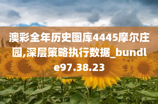 澳彩全年历史图库4445摩尔庄园,深层策略执行数据_bundle97.38.23