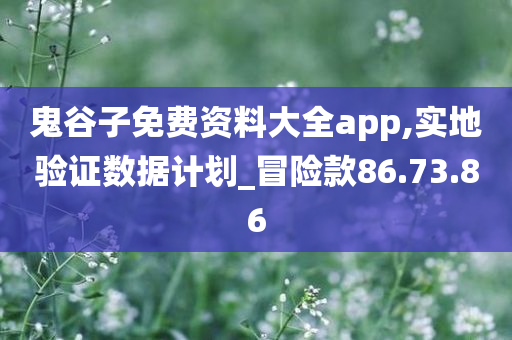 鬼谷子免费资料大全app,实地验证数据计划_冒险款86.73.86