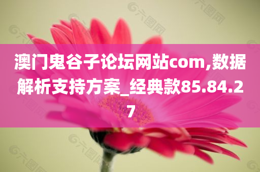 澳门鬼谷子论坛网站com,数据解析支持方案_经典款85.84.27