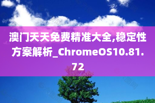 澳门天天免费精准大全,稳定性方案解析_ChromeOS10.81.72