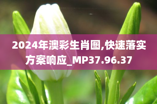 2024年澳彩生肖图,快速落实方案响应_MP37.96.37