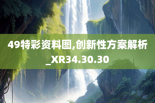 49特彩资料图,创新性方案解析_XR34.30.30