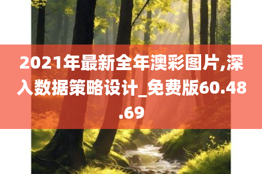 2021年最新全年澳彩图片,深入数据策略设计_免费版60.48.69