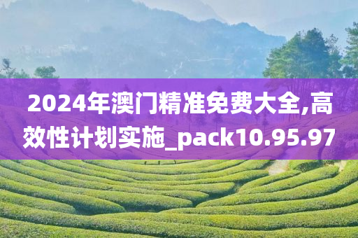 2024年澳门精准免费大全,高效性计划实施_pack10.95.97