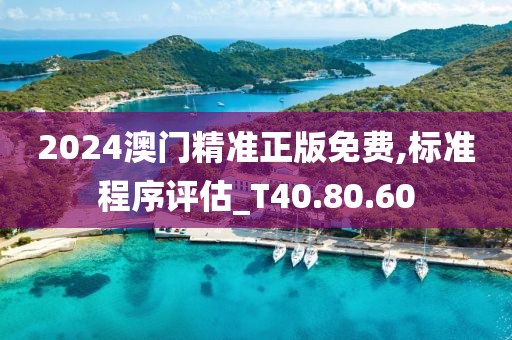 2024澳门精准正版免费,标准程序评估_T40.80.60