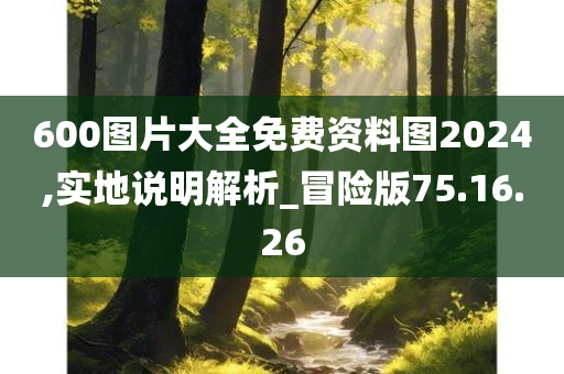 600图片大全免费资料图2024,实地说明解析_冒险版75.16.26